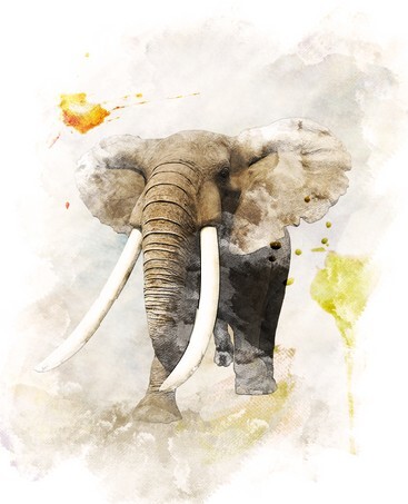 Watercolor Digital Painting Of Walking Elephant